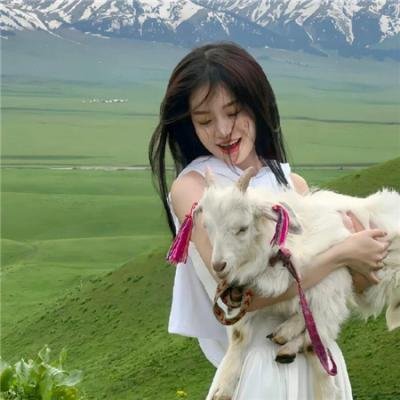 巨浪白鲨鱼