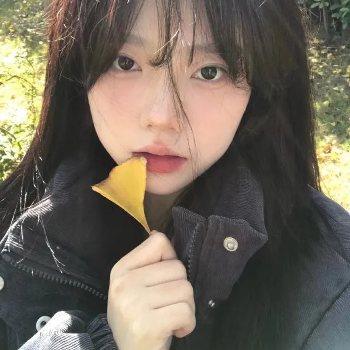 十九岁少年与欧陆